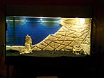 IMG 20141123 170225