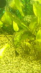 IMG 20150107 135436