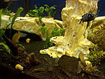 IMG 20141204 202702