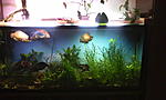 IMG 20150107 180014[1]