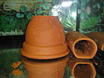 DSC08390