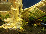 IMG 20141204 202306