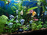 DSCN0949