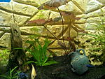IMG 20141204 202112