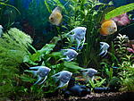 DSCN0951