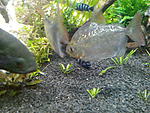 IMG 20141204 202955
