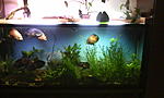 IMG 20150107 180011[1]