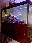IMG 20141122 114904
