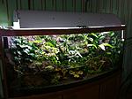 IMG 0291