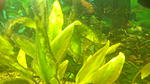 IMG 20150107 135448