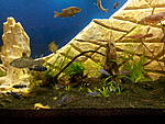 IMG 20141204 201830