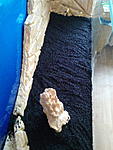 IMG 20141117 115344