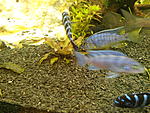IMG 20141204 202944