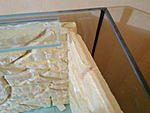 IMG 20141116 171636