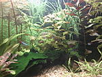 IMG 20150116 165540