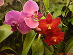 DSC00069