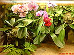 DSC00073