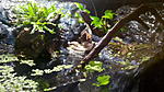 IMG 20150120 160045[1]