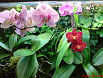 DSC00061