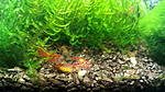 IMG 20141227 135705