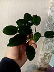 IMG 20150126 204833