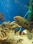 IMG 20150113 140521