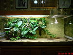 DSC000231111