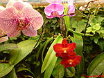 DSC00057