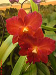 DSC00053