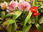 DSC00049