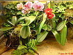 DSC00050