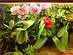 DSC00055
