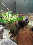 IMG 20150125 124139
