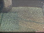 IMG 4189