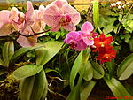 DSC00068