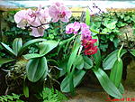 DSC00074