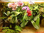 DSC00072