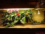 DSC00058