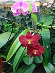 DSC00064