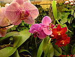 DSC00070