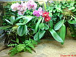 DSC00066