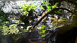 IMG 20150120 160106[1]