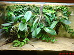 DSC0001611