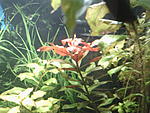 IMG 20150116 165621