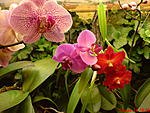 DSC00071