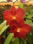 DSC00054