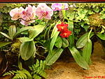 DSC00056