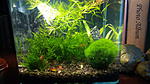 IMG 20141227 135649