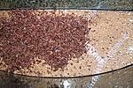 IMG 8506