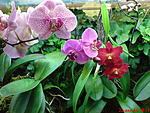 DSC00065